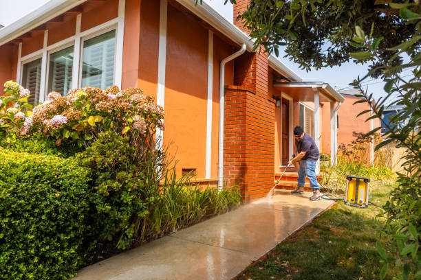 Best Affordable Power Washing  in Windham, OH