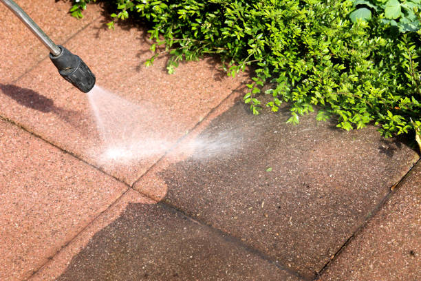 Best Roof Power Washing Services  in Windham, OH